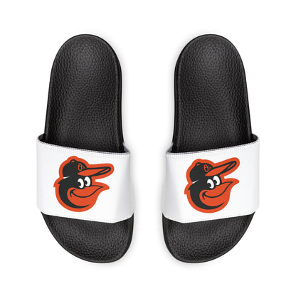 Baltimore Orioles Bird Slides