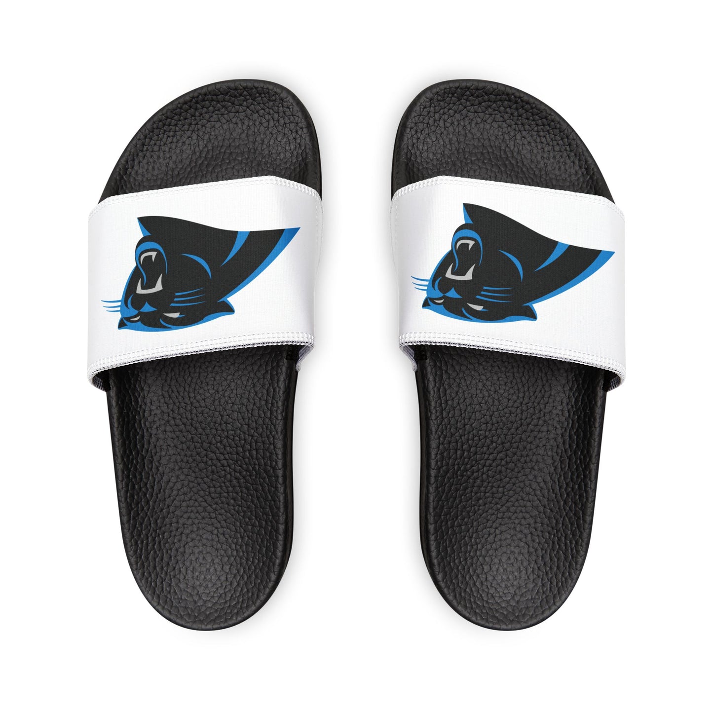 Carolina Panthers Slides