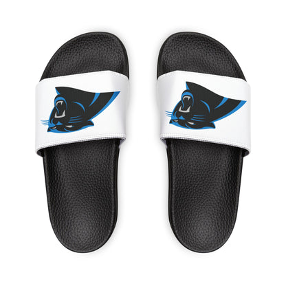 Carolina Panthers Slides