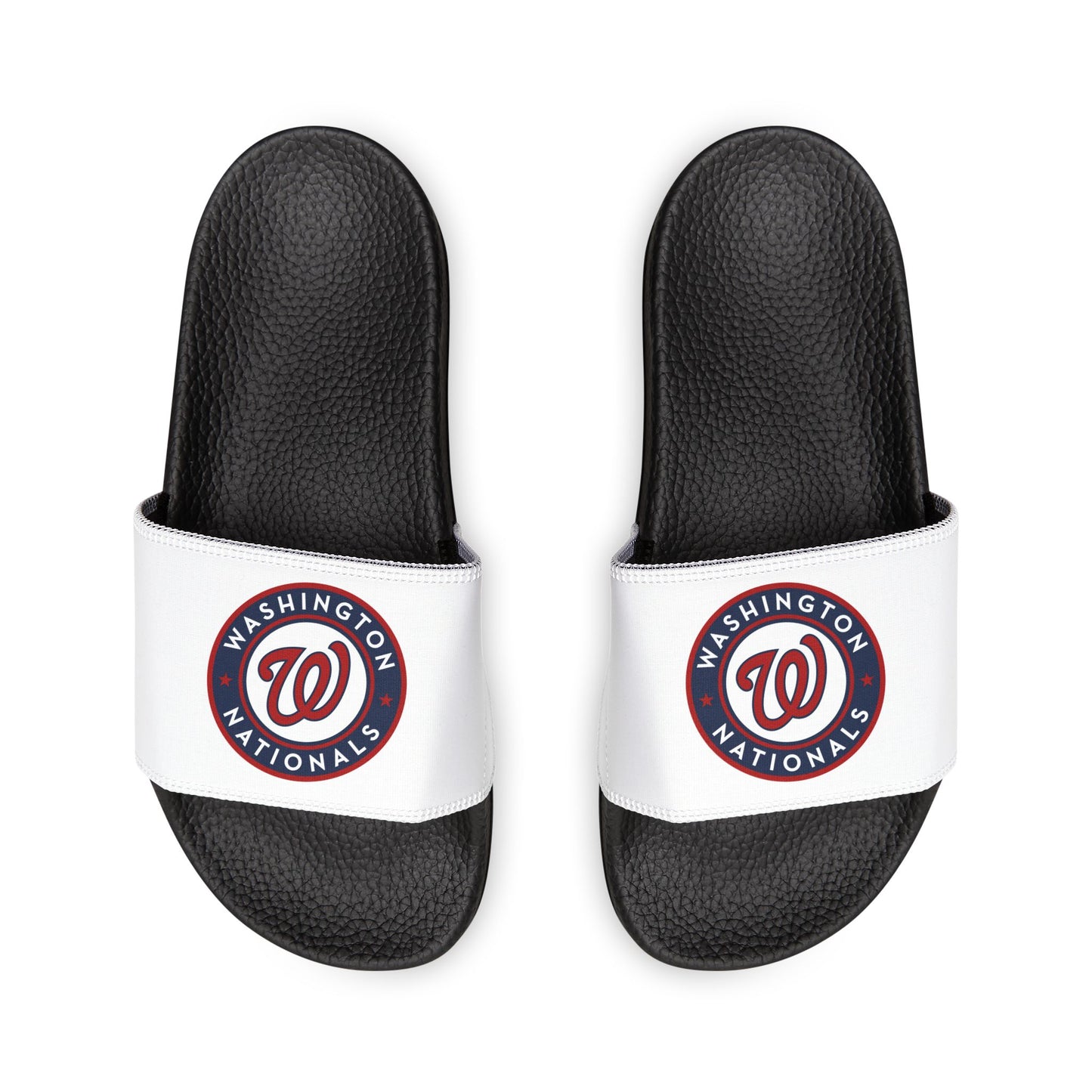 Washington Nationals Slides