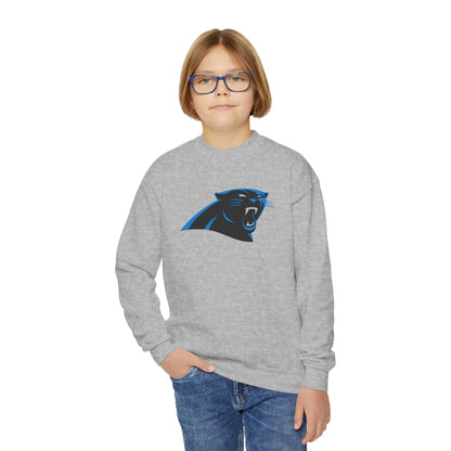 Carolina Panthers Youth Sweatshirt