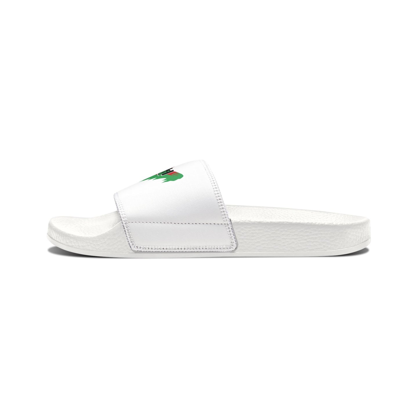 Kawasaki Racing Slides