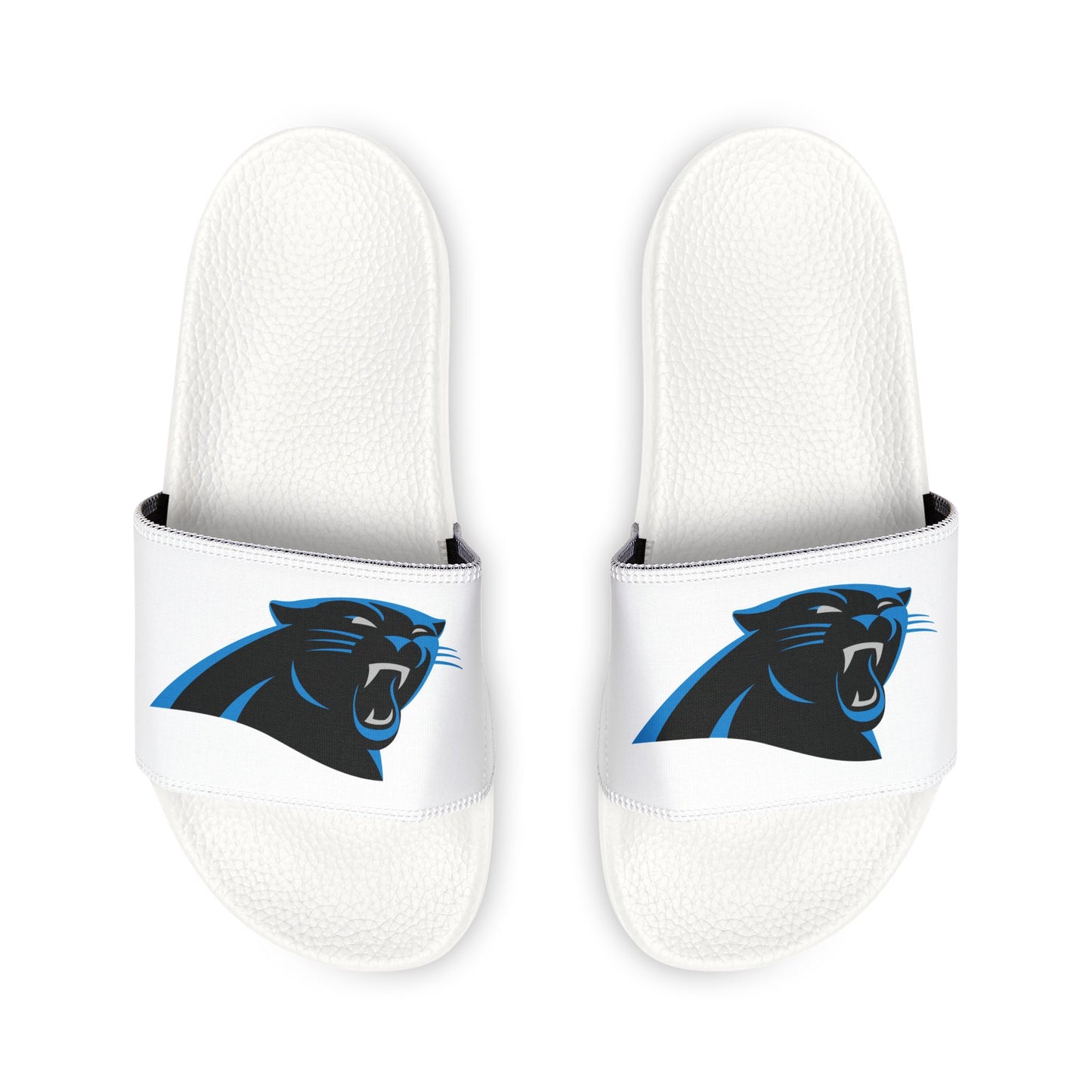 Carolina Panthers Slides
