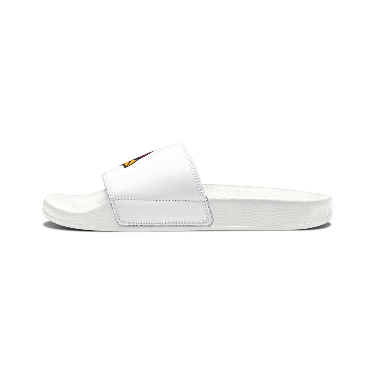 Arizona Cardinals Slides