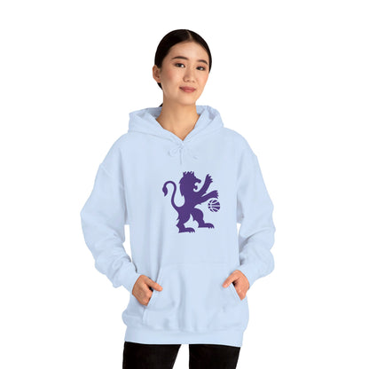 Sacramento Kings Lion Pullover Hoodie