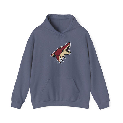 Arizona Coyotes Pullover Hoodie