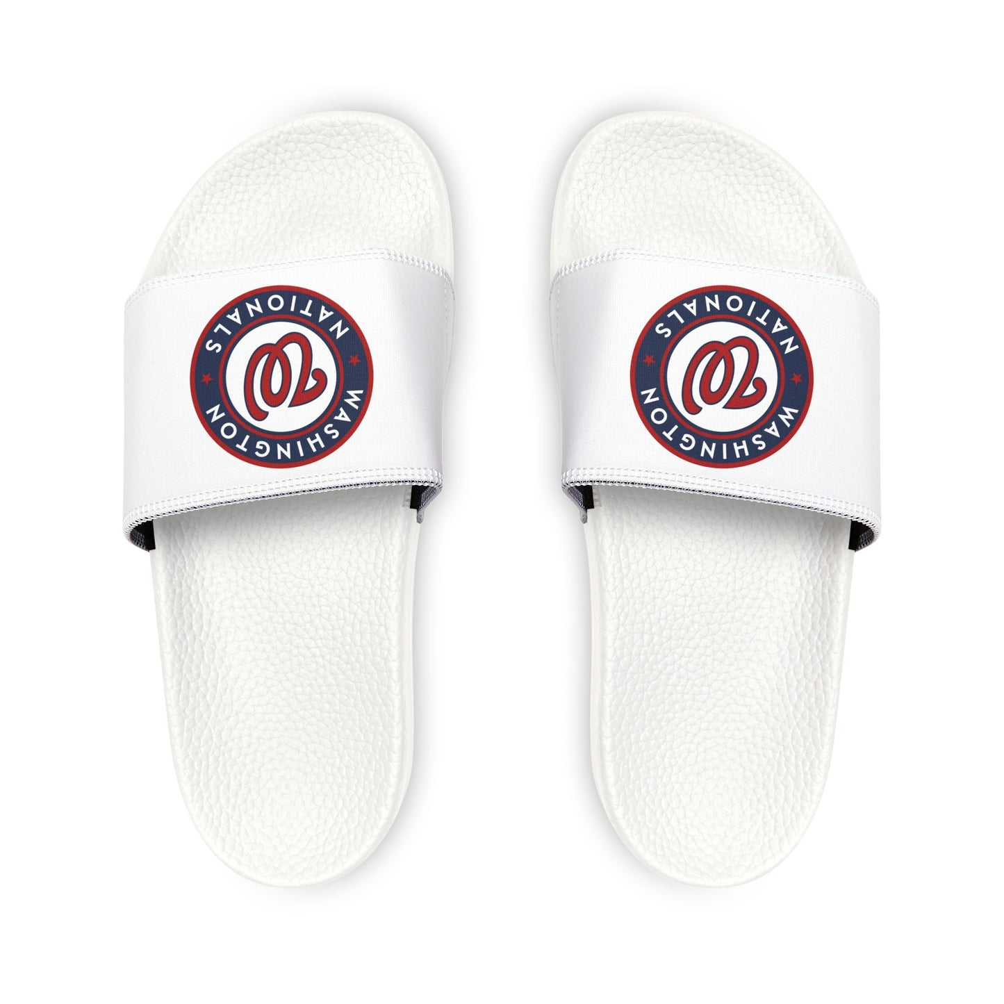 Washington Nationals Slides