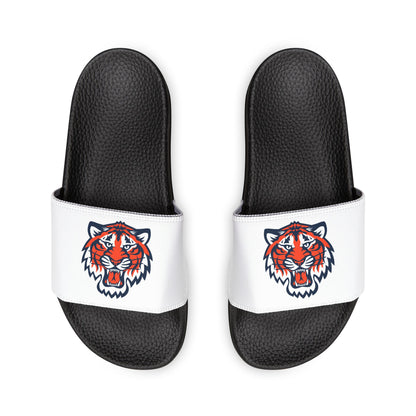 Detroit Tigers Tiger Slides