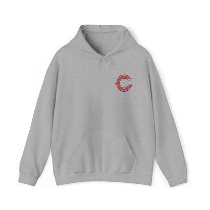 Chicago Bears Embroidered Hoodie