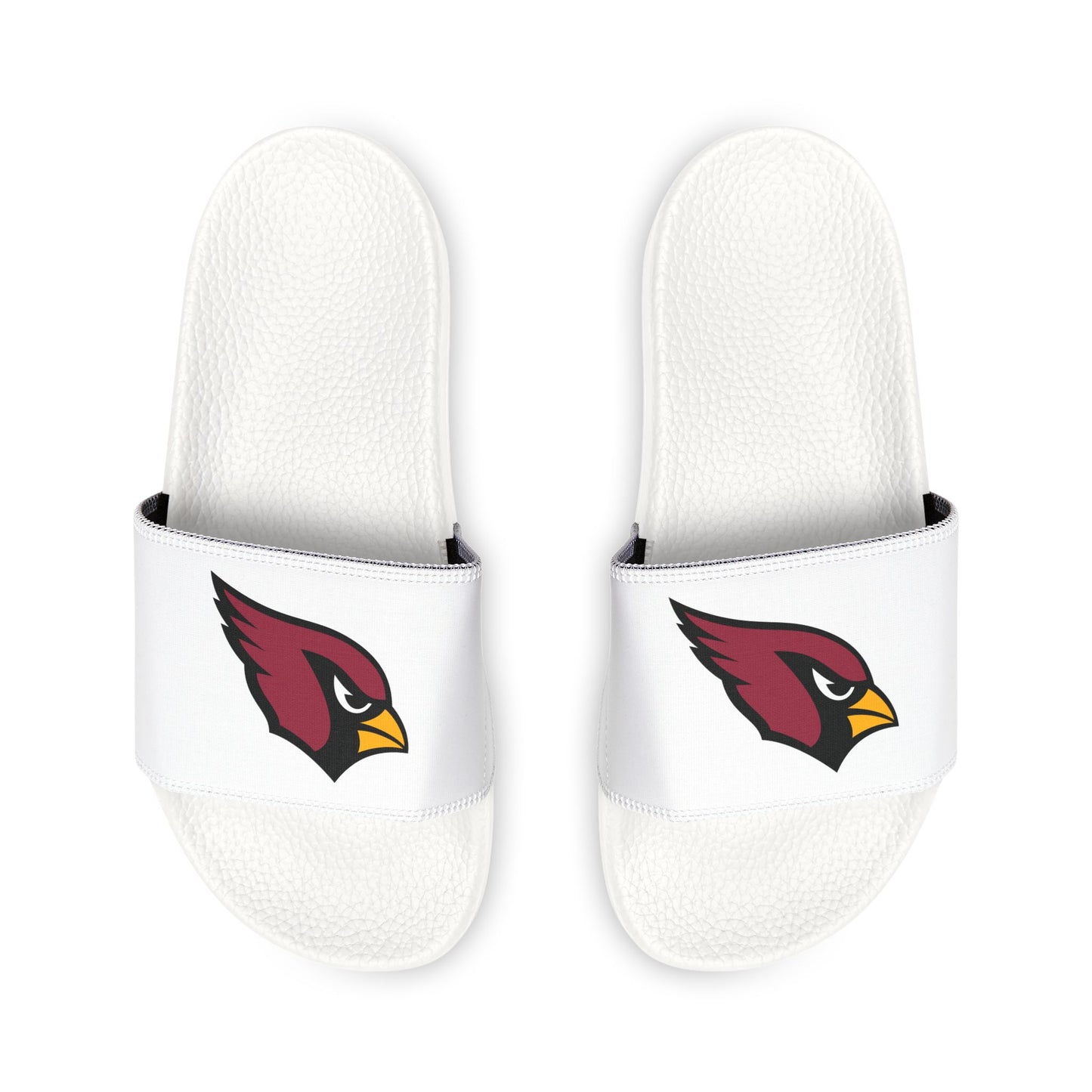 Arizona Cardinals Slides