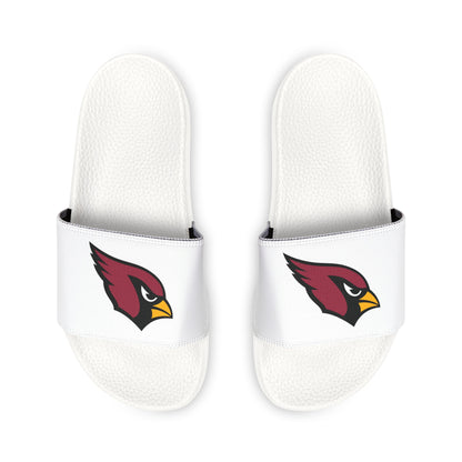 Arizona Cardinals Slides