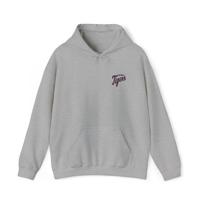 Detroit Tigers Embroidered Hoodie