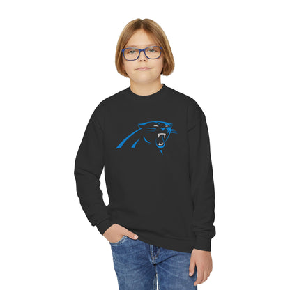 Carolina Panthers Youth Sweatshirt