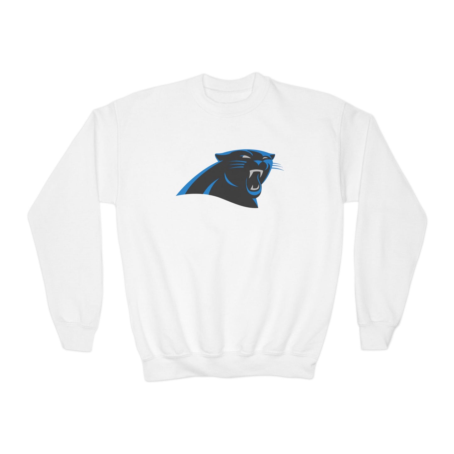 Carolina Panthers Youth Sweatshirt
