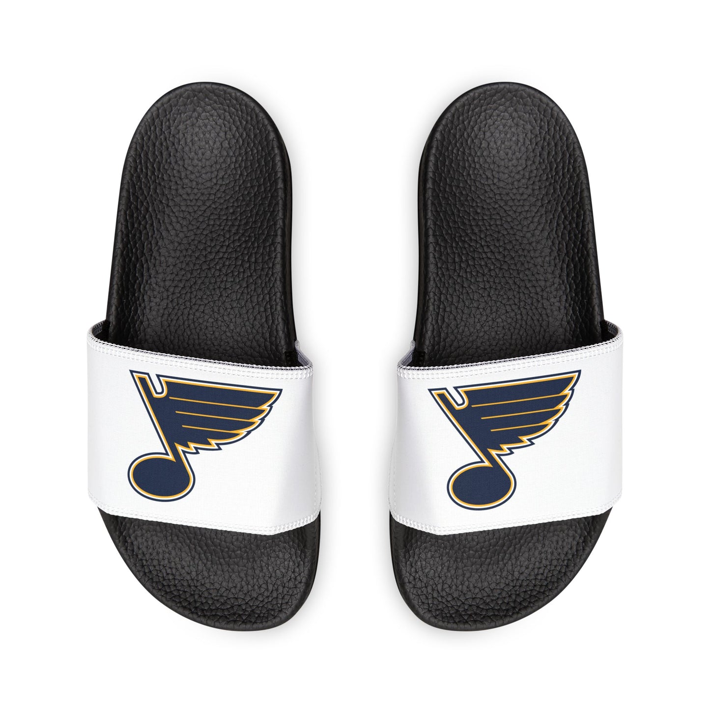 St. Louis Blues Slides