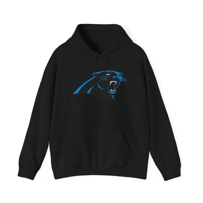 Carolina Panthers Pullover Hoodie