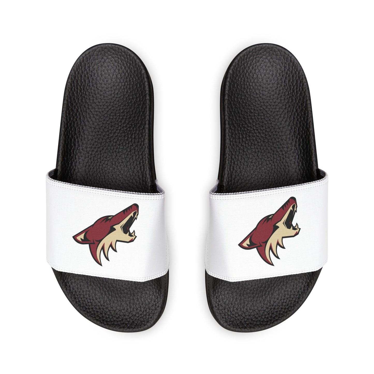 Arizona Coyotes Slides