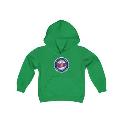Minnesota Twins Youth Hoodie