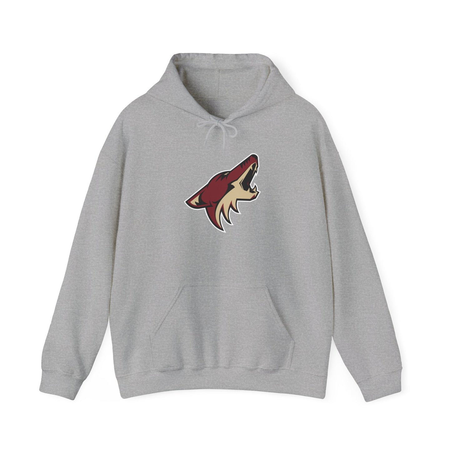 Arizona Coyotes Pullover Hoodie