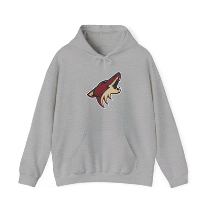 Arizona Coyotes Pullover Hoodie