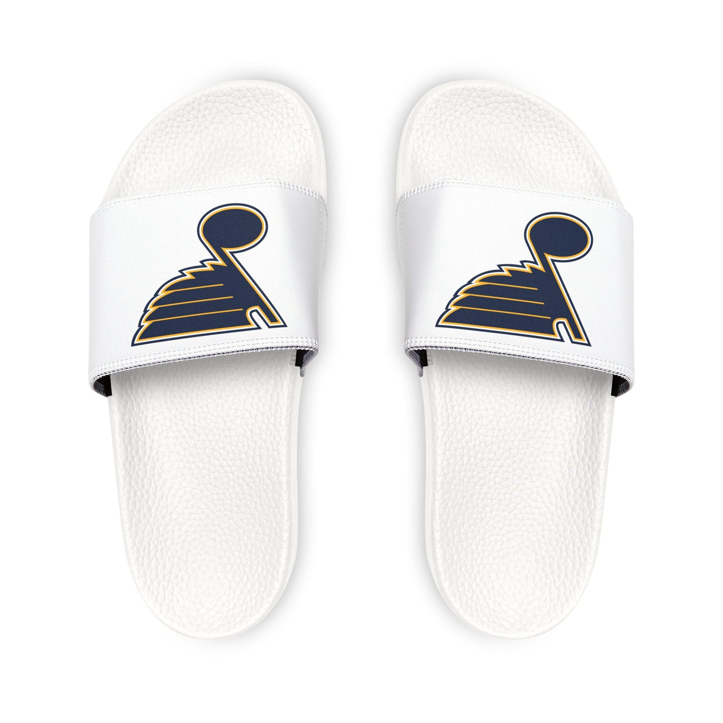 St. Louis Blues Slides