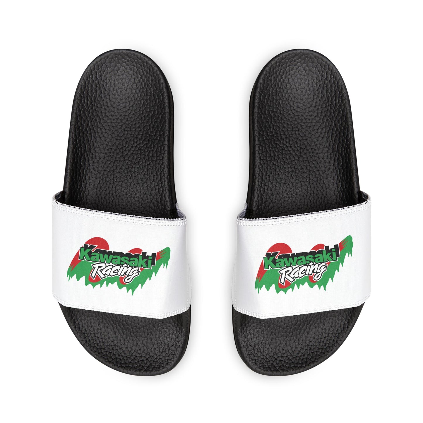Kawasaki Racing Slides