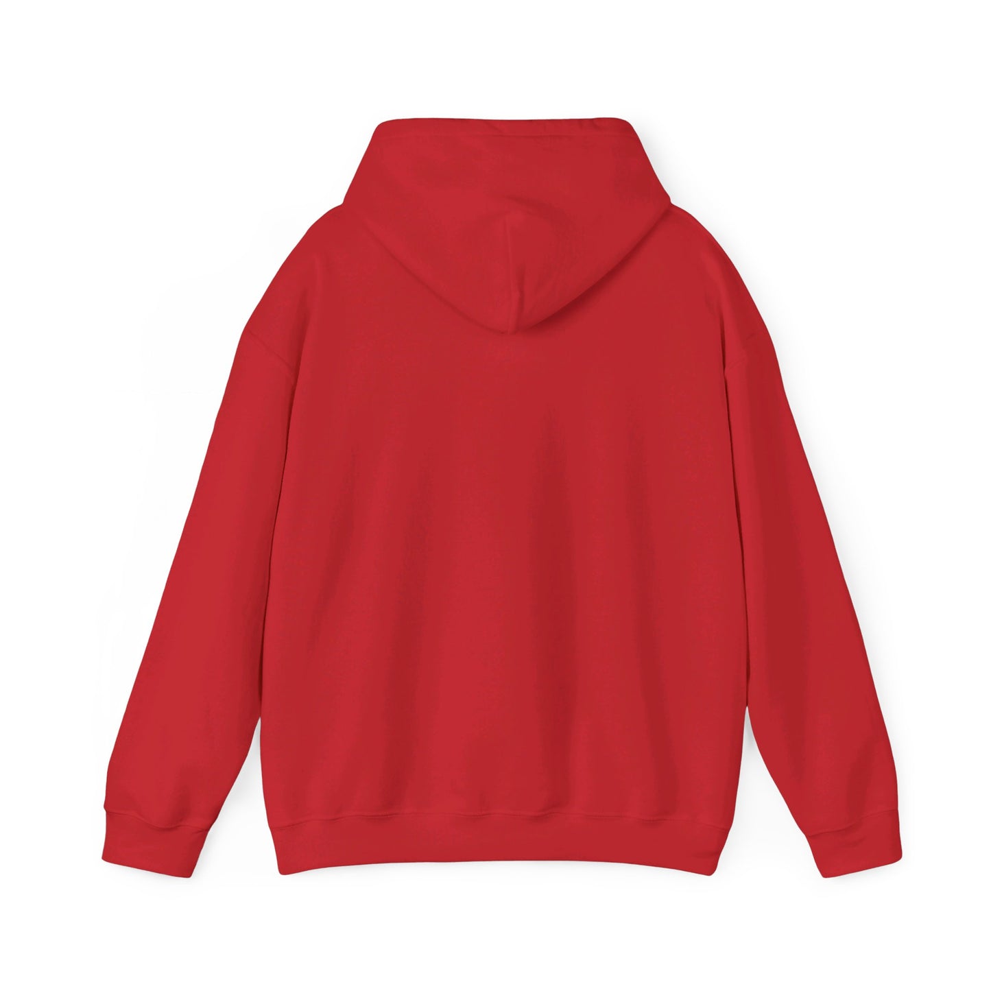 Detroit Lions Pullover Hoodie