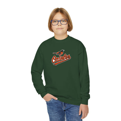 Baltimore Orioles Youth Sweatshirt