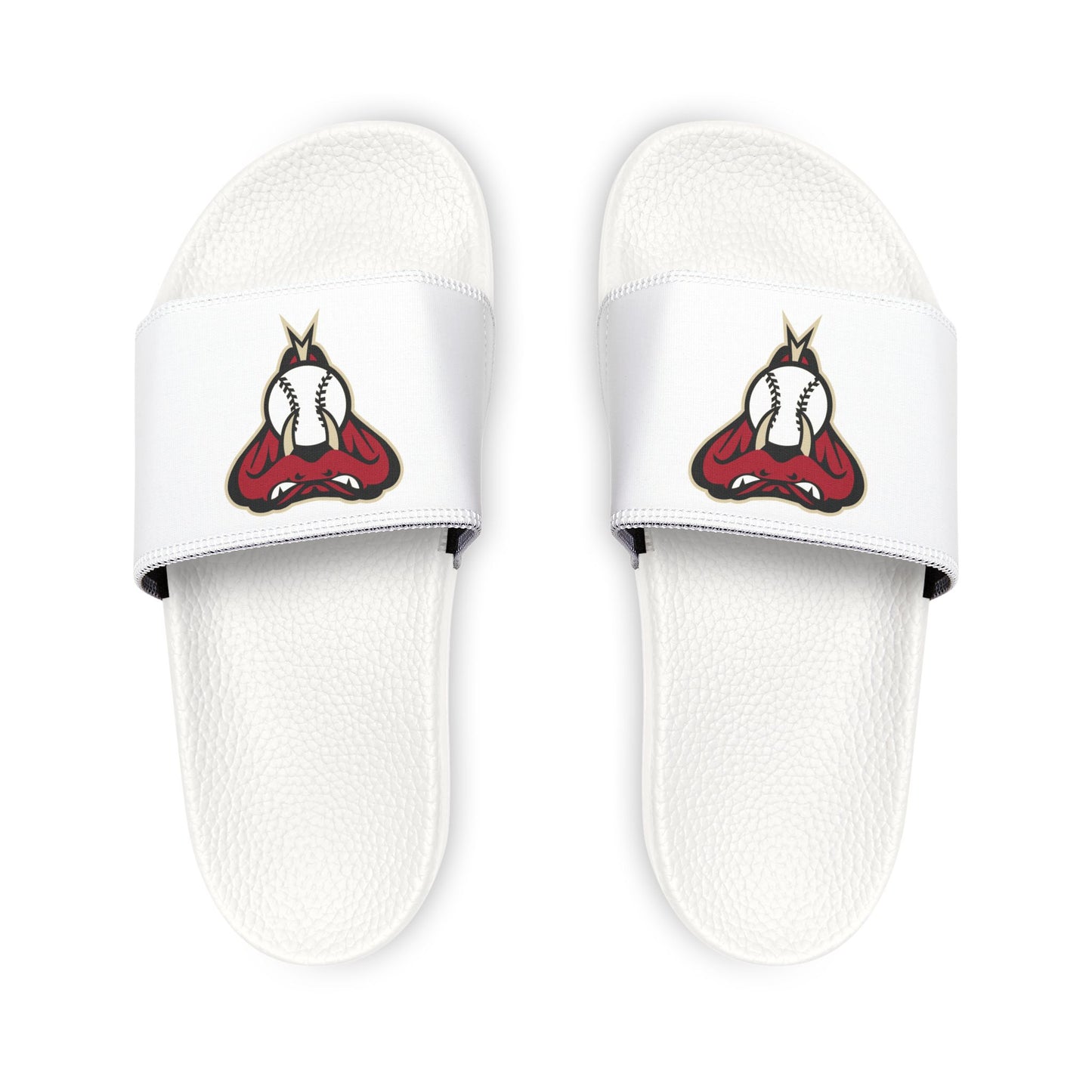 Arizona Diamond Backs Snake Slides