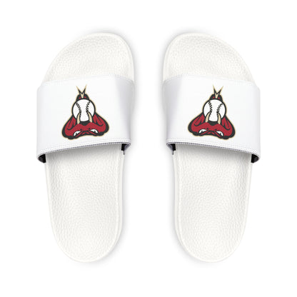 Arizona Diamond Backs Snake Slides