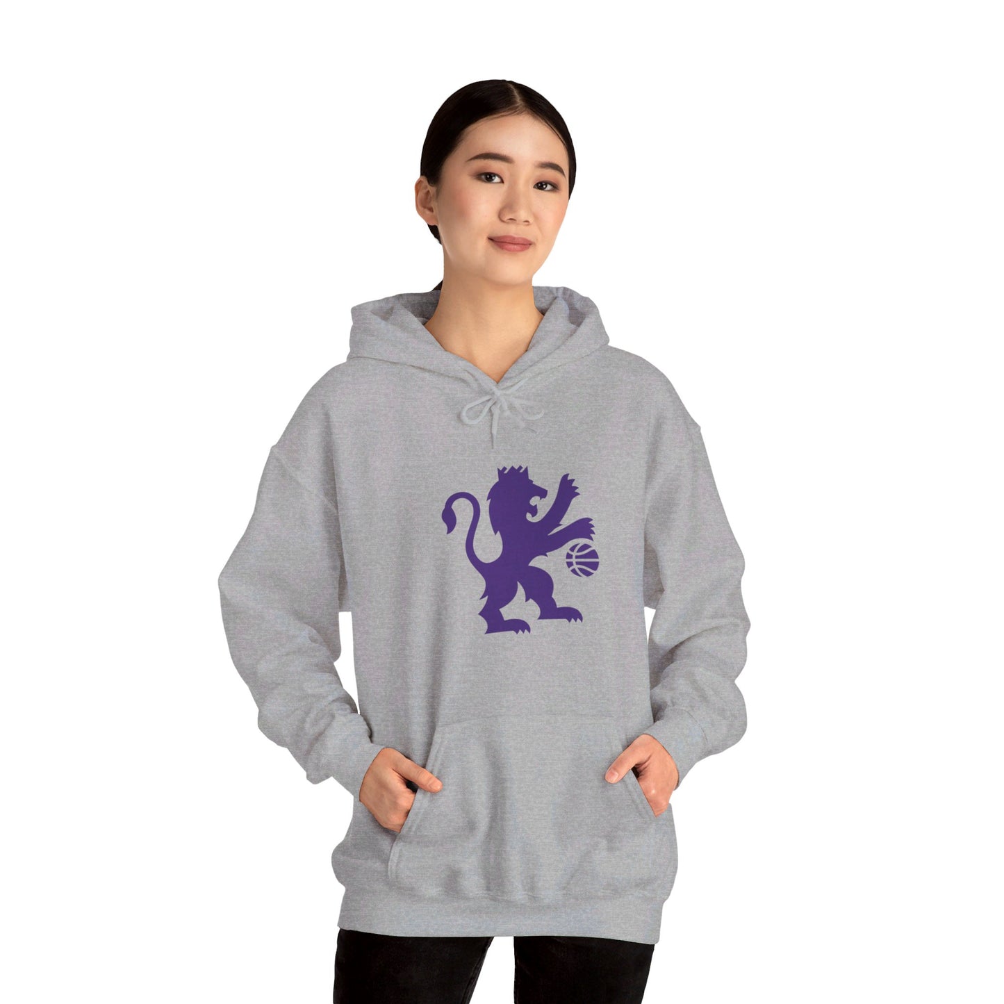 Sacramento Kings Lion Pullover Hoodie