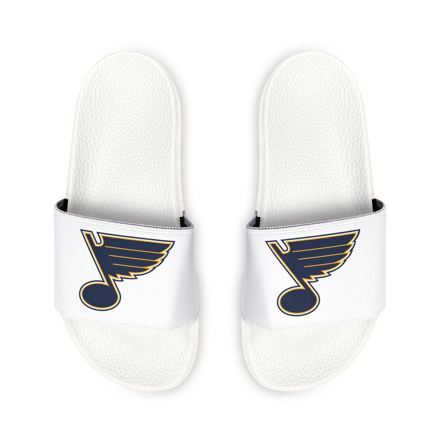 St. Louis Blues Slides