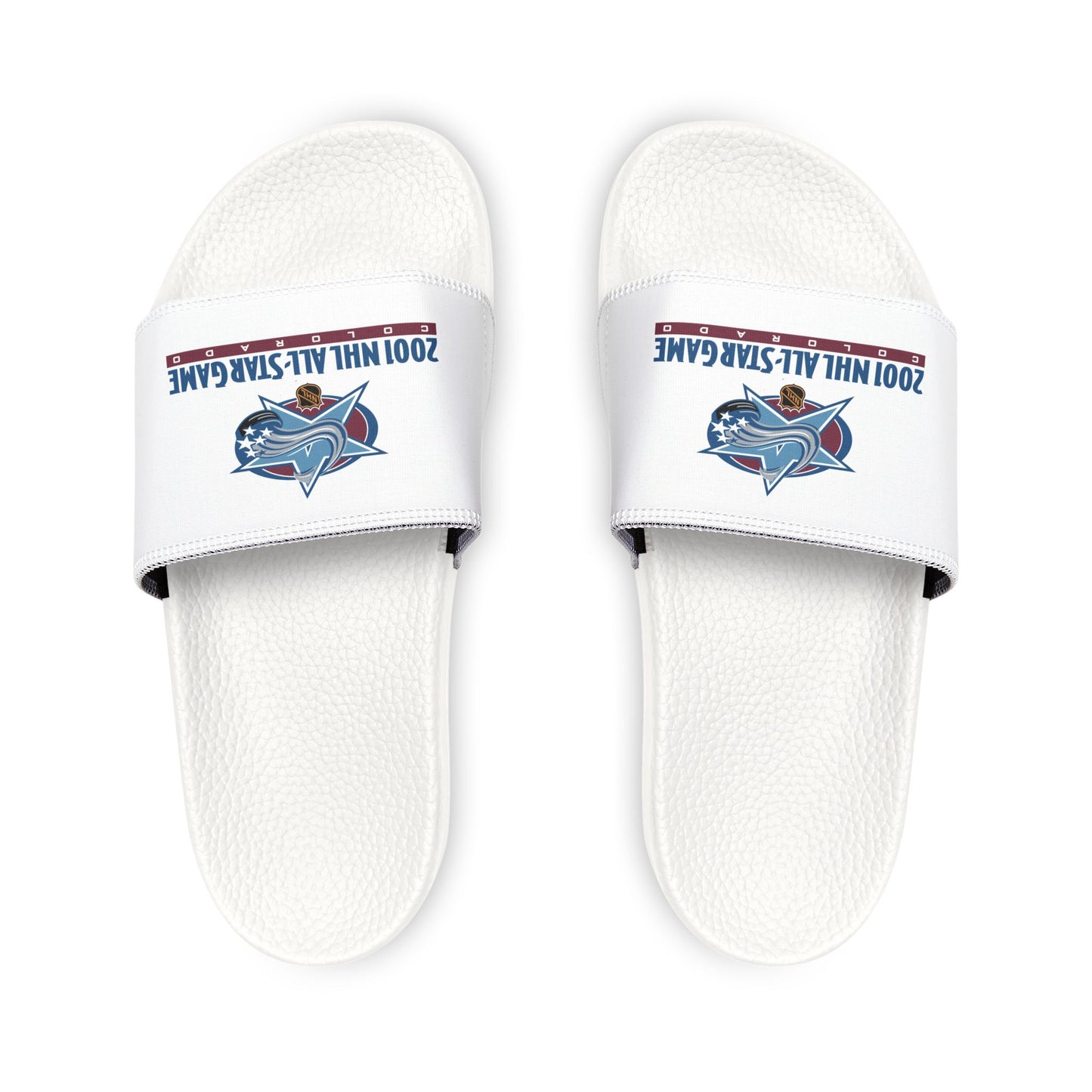 NHL All Star Game 2001  Slides