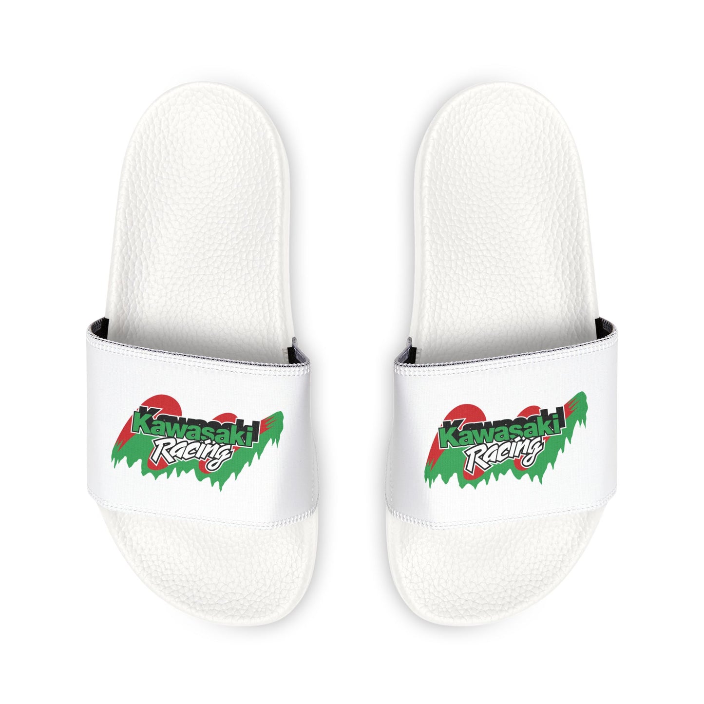 Kawasaki Racing Slides