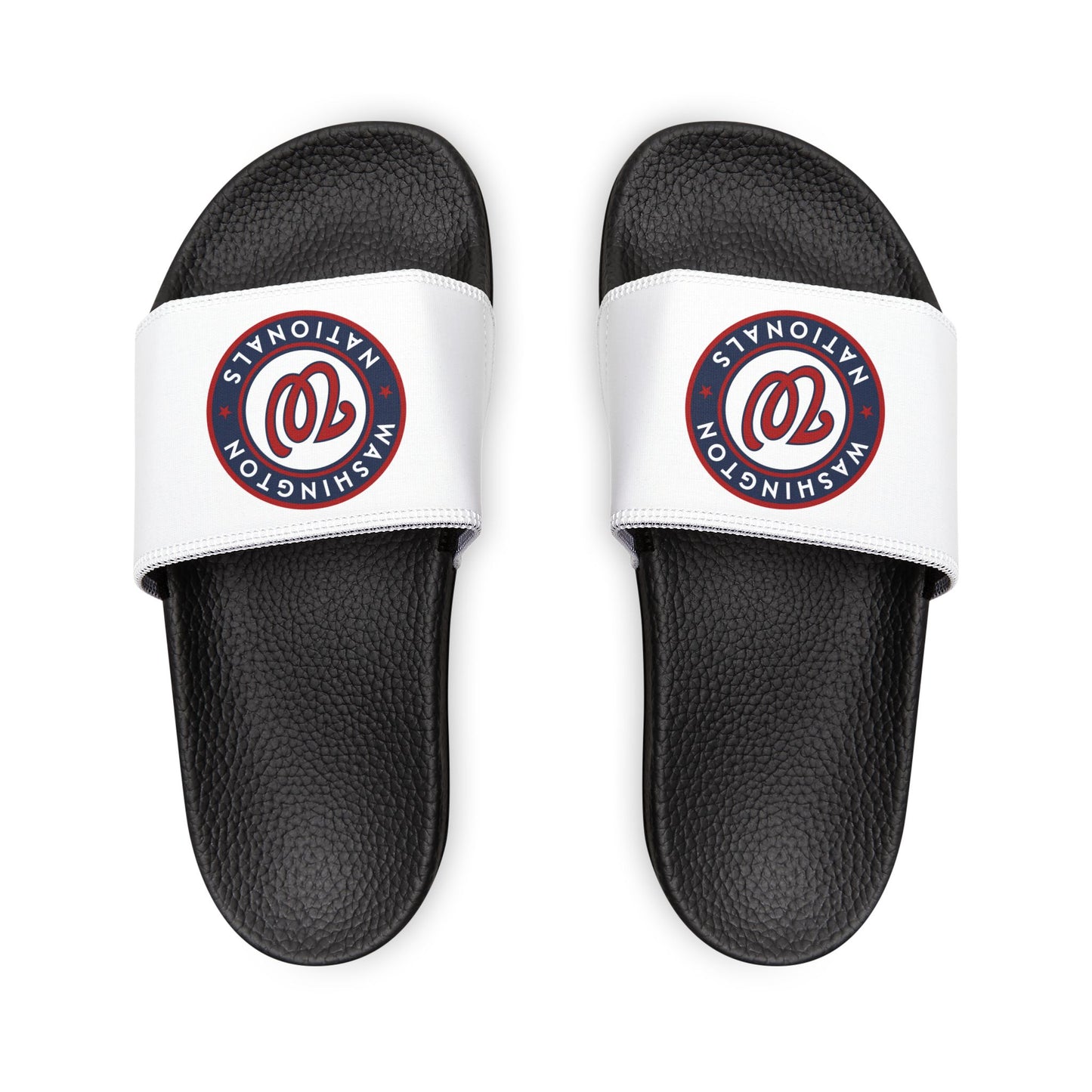 Washington Nationals Slides