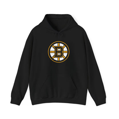 Boston Bruins Pullover Hoodie