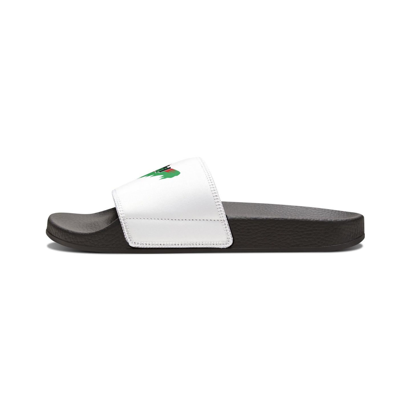 Kawasaki Racing Slides