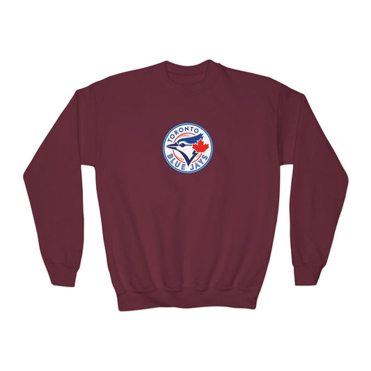 Toronto Blue Jays Youth Sweatshirt