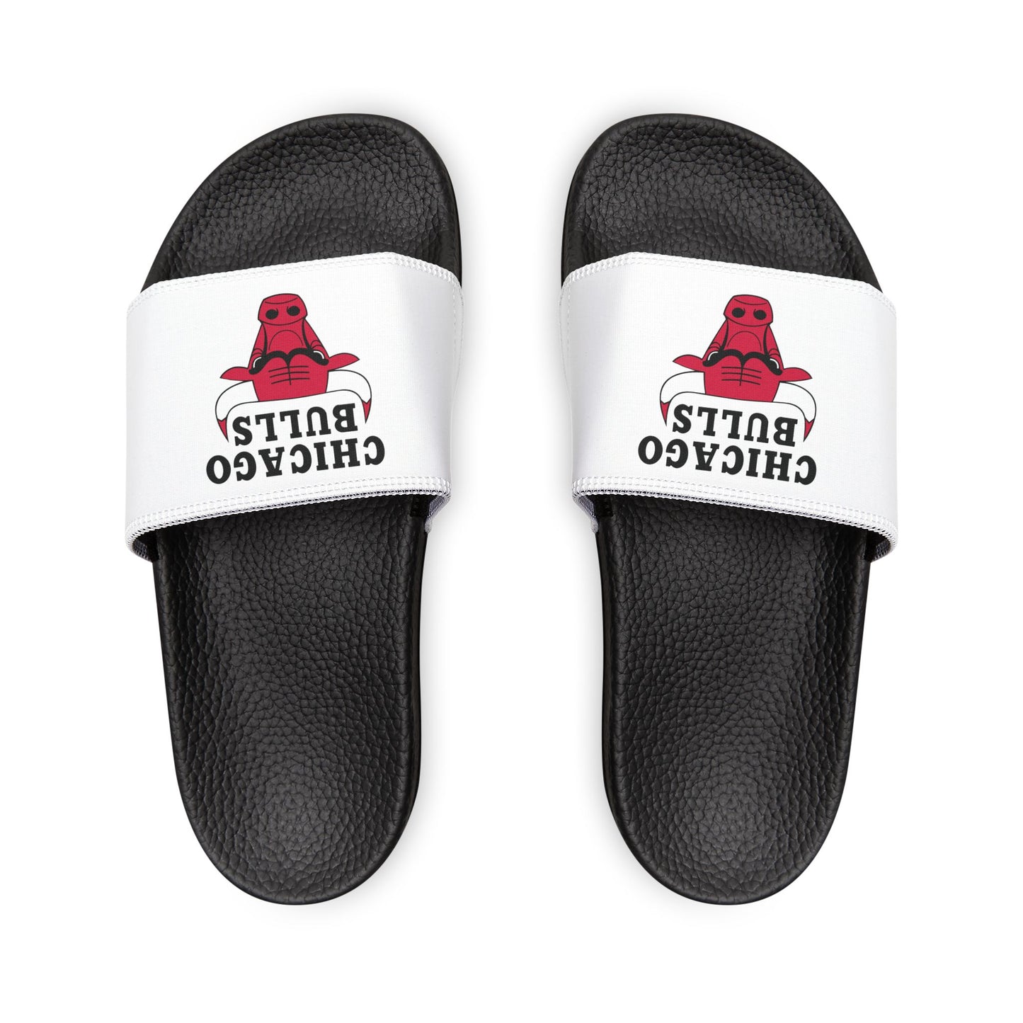 Chicago Bulls Slides