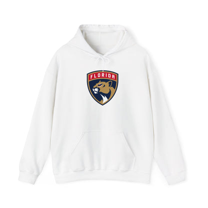 Florida Panthers Pullover Hoodie