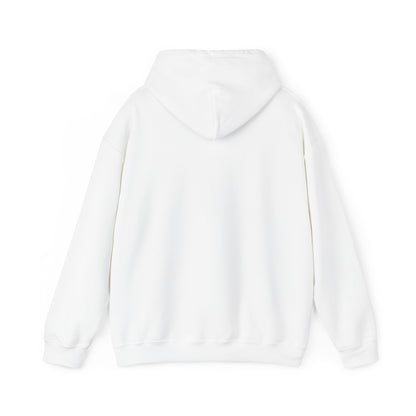 Superbike Racing Pullover Hoodie