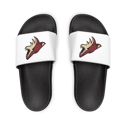 Arizona Coyotes Slides