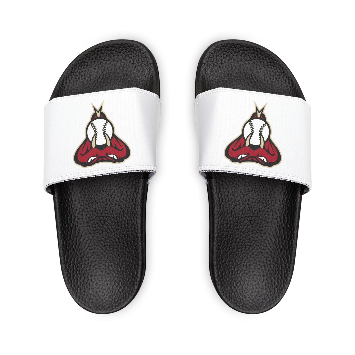 Arizona Diamond Backs Snake Slides