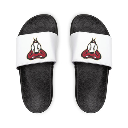 Arizona Diamond Backs Snake Slides