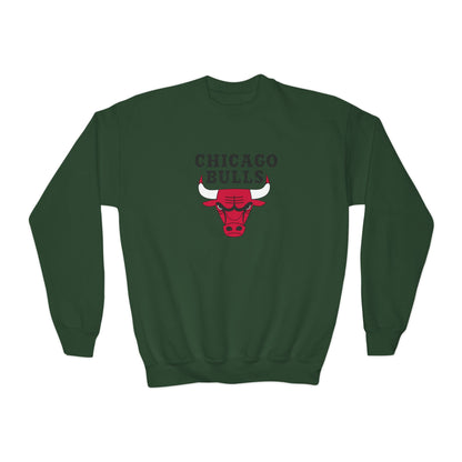 Chicago Bulls Youth Sweatshirt