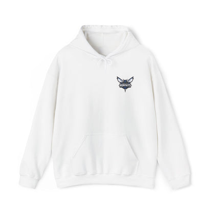 Charlotte Hornets Embroidered Hoodie