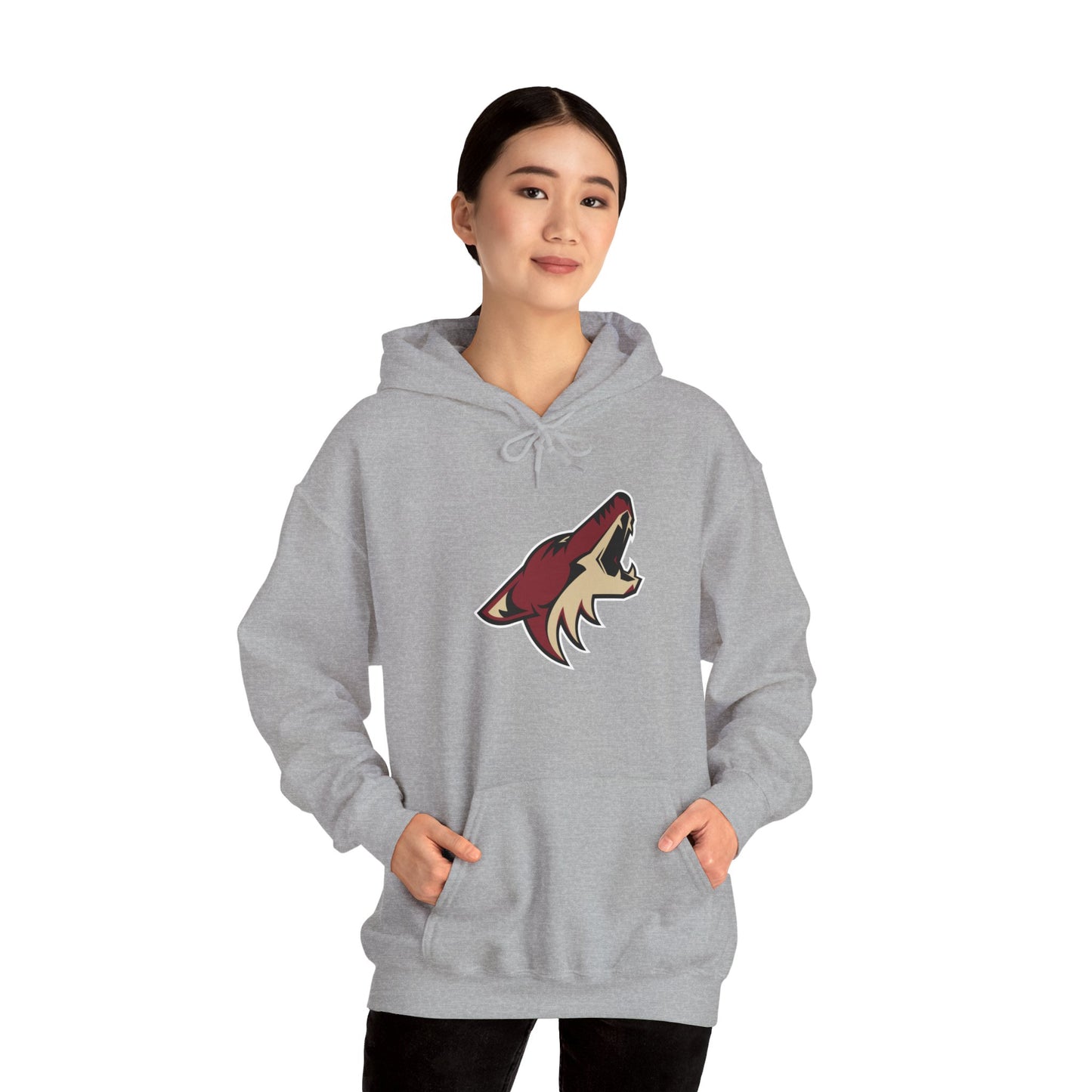 Arizona Coyotes Pullover Hoodie