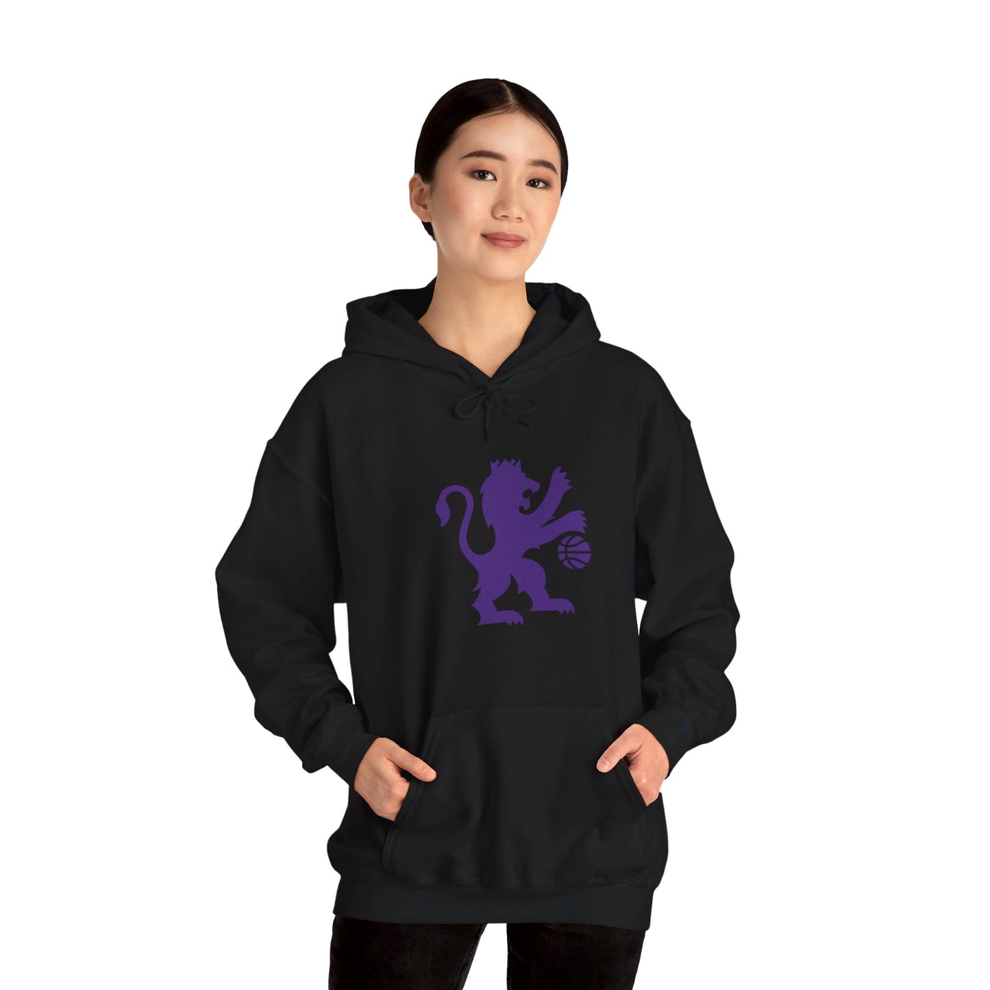Sacramento Kings Lion Pullover Hoodie