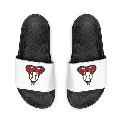 Arizona Diamond Backs Snake Slides
