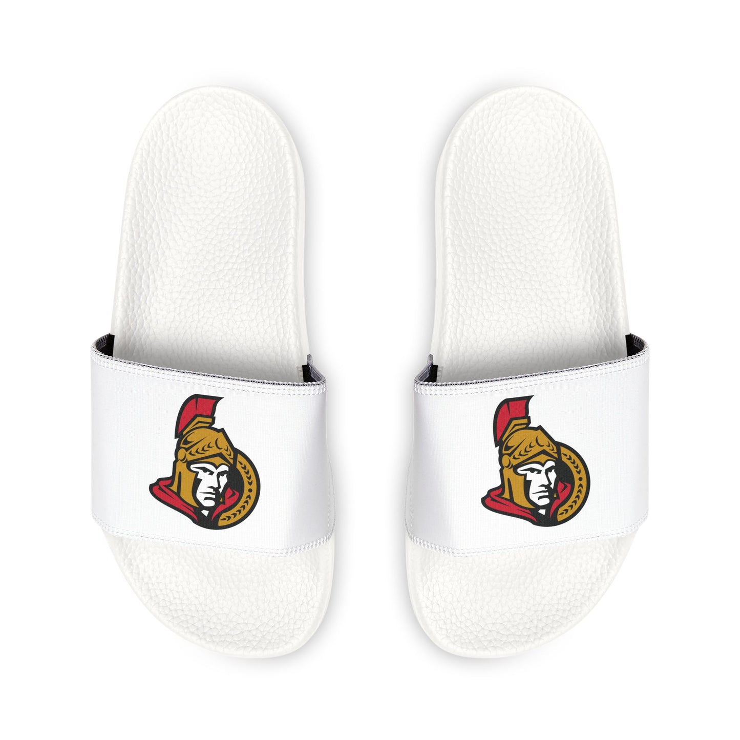 Ottawa Senators Slides
